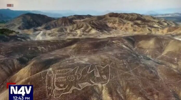 Con la ayuda de Inteligencia Artificial, investigadores obtuvieron nuevas revelaciones sobre sus famosos geoglifos de Nazca.