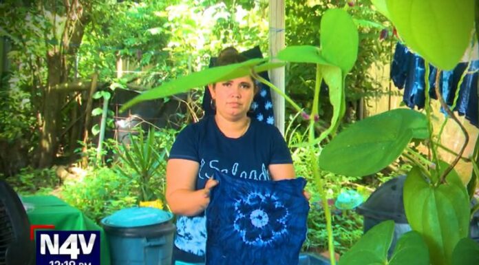 Suchitoto se vestirá de azul con el Festival del Añil este fin de semana. El turista podrá disfrutar de procesos de teñido, entre otros.