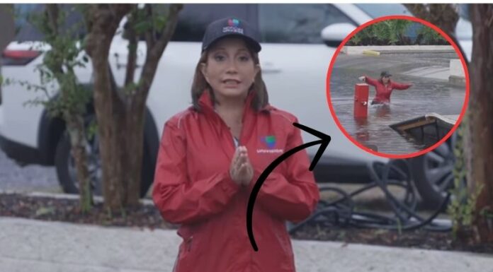 Periodista sufre percance en plena transmisión para el Noticiero Univision: Edición Digital y el incidente se vuelve viral en las redes.