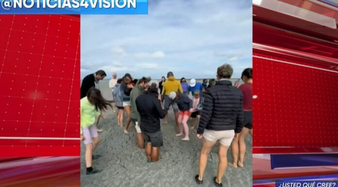 En redes sociales circuló un video donde se observa a varias personas saltando sobre una misteriosa arena movediza en la playa.