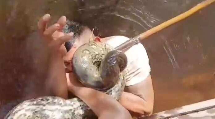 Un hombre se encontraba nadando en un río cuando de manera inesperada fue atacado por una anaconda en Brasil.