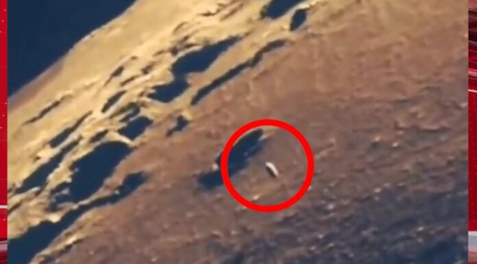 Hace unos días, circuló en redes sociales un video donde captaron a un extraño objeto volar sobre la luna.