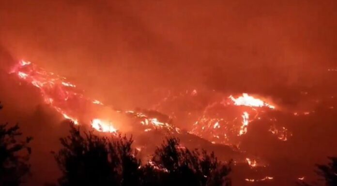 El Cuerpo de Bomberos de Grecia, informó que durante las últimas 24 horas, se han registrado 51 incendios forestales.