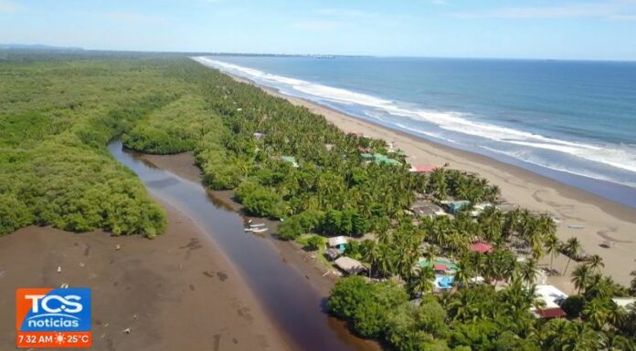 Los manglares se ven amenazados por el incremento del nivel del mar, una situación que perjudica además, a la soberanía alimentaria.