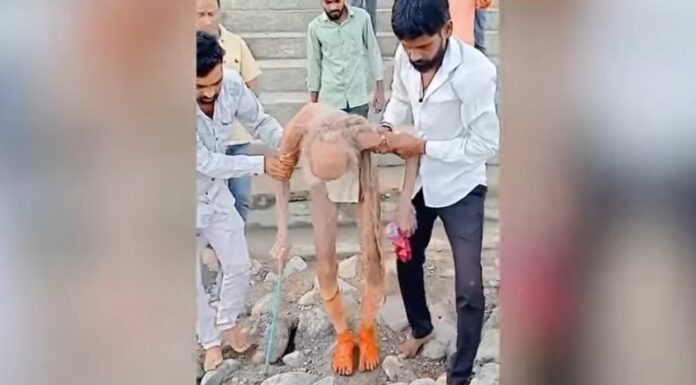 Un hombre de 110 años es encontrado en una cueva en la India. El video se esta haciendo viral y recorre el mundo entero.