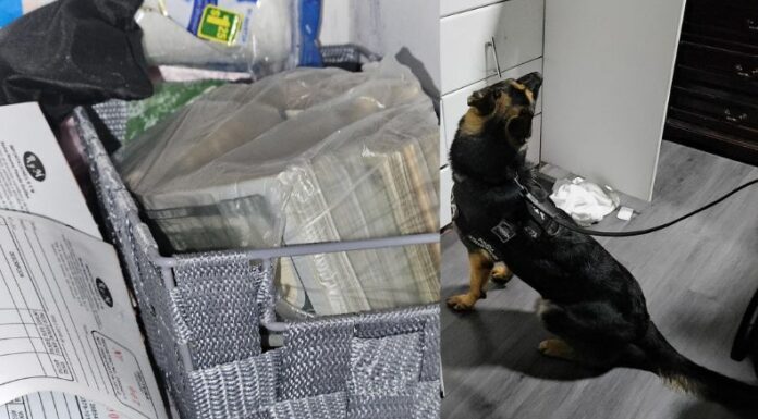 Una banda de red de tráfico de personas operaba en el interior del país, fue desarticulada esta madrugada por parte de las autoridades.