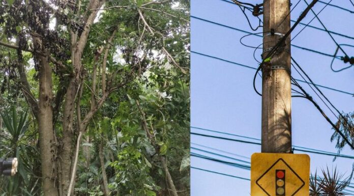 Comandos de Salvamentos trabaja en la recuperación de un cuerpo de una persona electrocutada. El hecho ocurrió en la carretera de Oro.