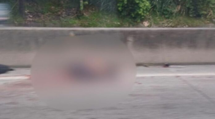 A tempranas horas de este día, se dio a conocer el caso de un motociclista fallecido sobre la Carretera de Oro.