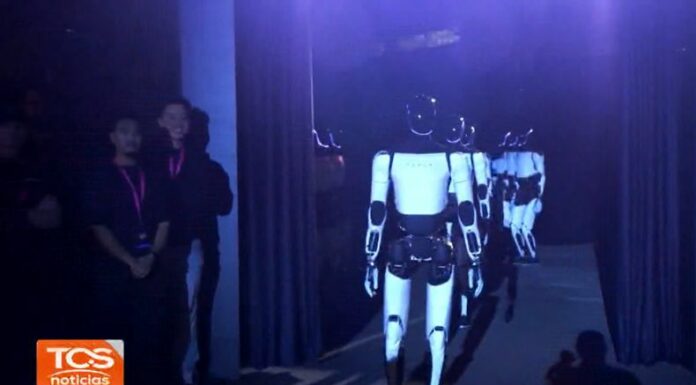 Musk aseguró que el vehículo llegará al mercado en el año 2027; mientras que los robots llamados Optimus prometen realizar tareas.