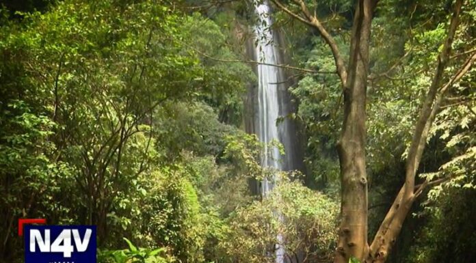 Los habitantes de Santo Domingo de Guzmán, enfatizan que la cascada Tepechapa esta rodeada de misterio y belleza natural.