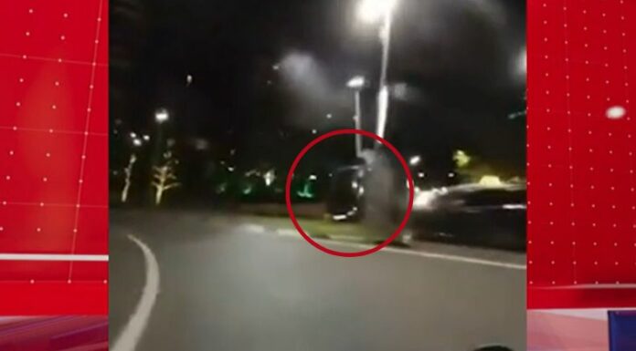 La excesiva velocidad provocó que un conductor impactara contra un poste en Tampa, Florida, el siniestro quedó registrado.