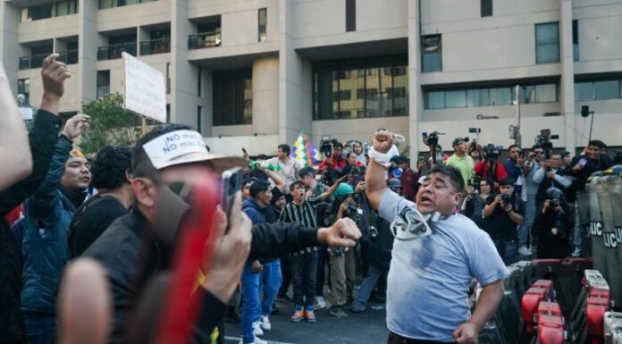 Debido a la ola de violencia en Perú y la muerte de transportistas, cientos lideraron una protesta en la que rechazan la ola de violencia.