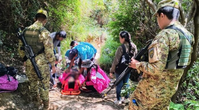 Elementos de primeros auxilios atendieron a un grupo de turistas que resultaron con picaduras de abeja mientras recorrían en el Cerro Verde.