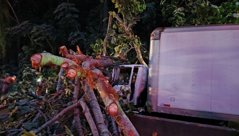 Árbol cae sobre camión en carretera de Santa Ana a San Salvador Un árbol de gran tamaño cayó sobre un camión sobre la carretera que de Santa Ana conduce hacia San Salvador.