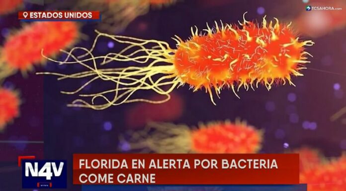 La bacteria “come carne” crece en ambientes marinos y en zonas cálidas, afectando principalmente a personas de edad avanzada.