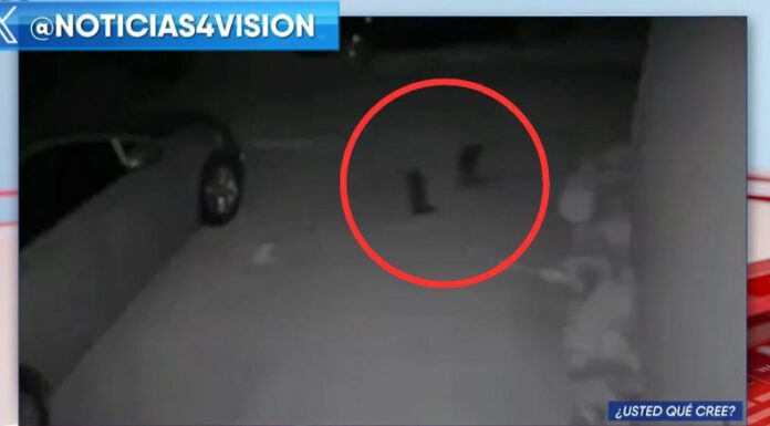 Cámaras de seguridad captaron el momento en el que dos figuras pequeñas caminan de un lado a otro afuera de una casa.