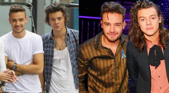 El reconocido cantante británico, Harry Styles, utilizó sus redes sociales para dedicarle una emotiva publicación a su querido amigo.