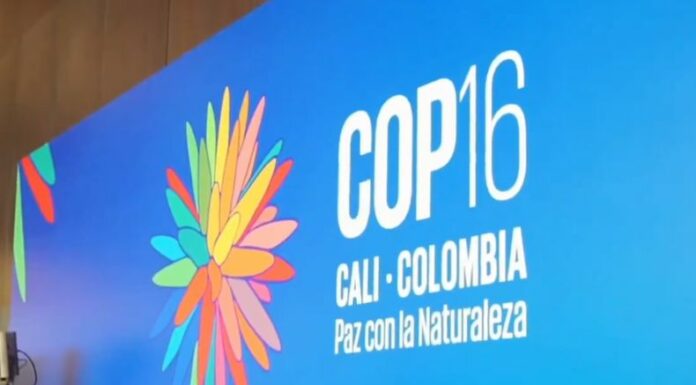 El presidente de Colombia, Gustavo Petro, informó que dio inicio la COP16, cuya sede es la ciudad de Cali, en su país.
