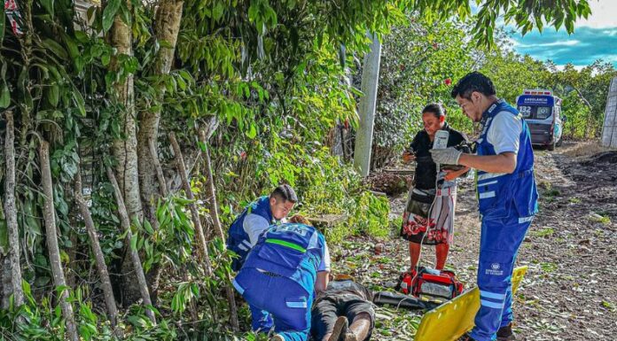 El Sistema de Emergencias Médicos (SEM) reportó la atención a una persona, luego de caer de un árbol de grandes dimesiones.