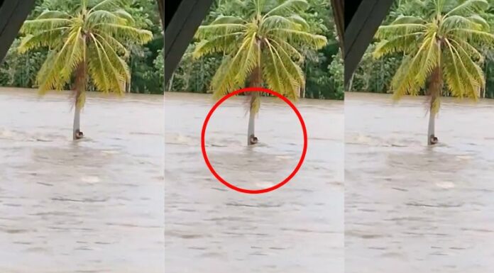 Las inundaciones en Filipinas han dejado imágenes de impacto en las que varias personas han muerto o intentan salvarse del agua.