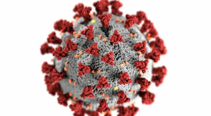 En Estados Unidos y Europa se detectan los primeros casos de la subvariante del covid-19 llamada, XEC. Esta es una variación del Ómicron.