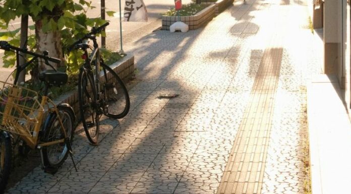 Las aceras podotáctiles son una ayuda y guía para las personas no videntes, pero en la ciudad la mayoría de veces estas están bloqueadas.