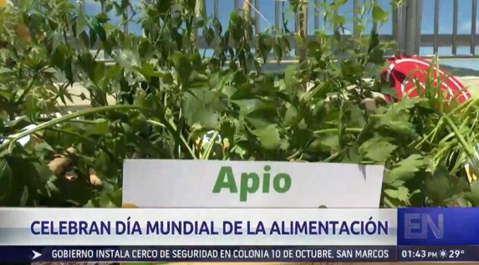 Como parte de las actividades de la FAO, celebró durante el fin de semana el Día Mundial de la Alimentación.