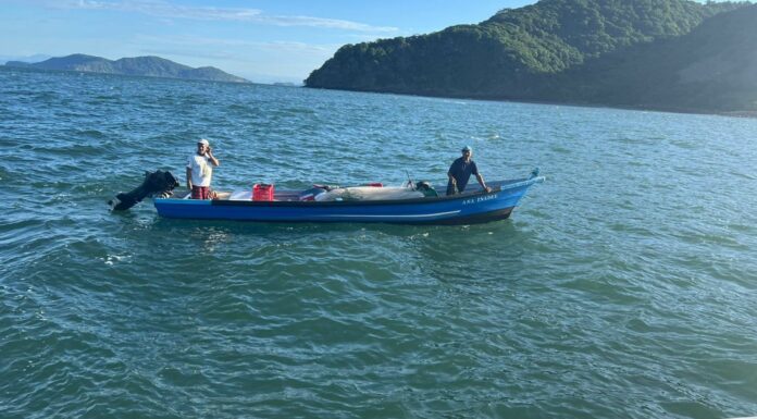 Los pescadores tuvieron una falla mecánica en su lancha de motor. Por lo que, la Marina Nacional los auxilió.