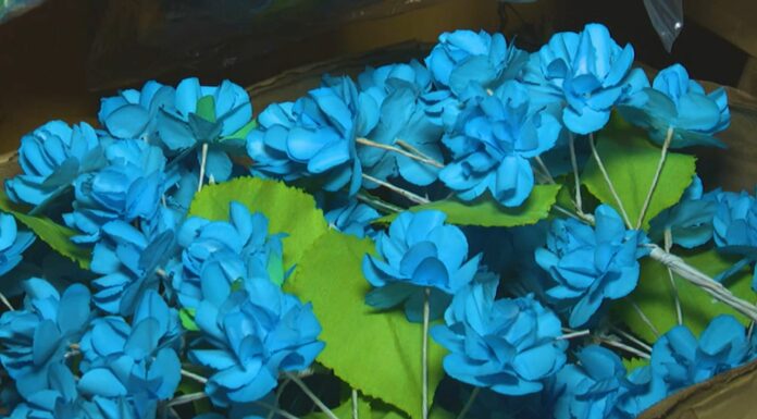 El oficio de las flores enceradas es una tradición que se ha dado por décadas en Quezaltepeque y hasta convertiste en patrimonio cultural.