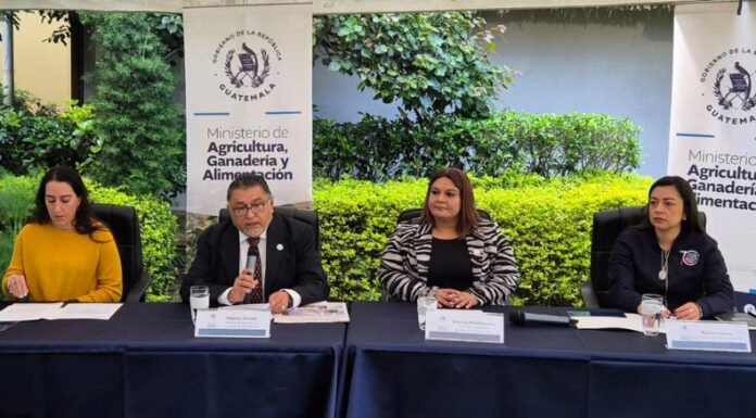 En Guatemala, declararon estado de emergencia de sanidad animal por la amenaza del Gusano Barrenador del Ganado (GBG).