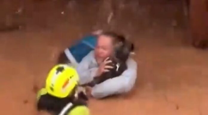 En España, los bomberos realizaron un valiente rescate de una dueña y su mascota por las severas inundaciones que afectan el país.