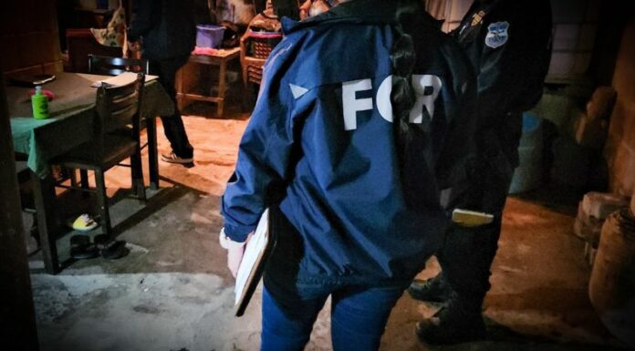 Por varios delitos, entre ellos estafas informáticas fueron las órdenes ce capturas que hizo la FGR y PNC esta madrugada.