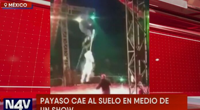 En México, un payaso trapecista cayó al suelo mientras realizaba una presentación en el Circo del Horror en Morelos.