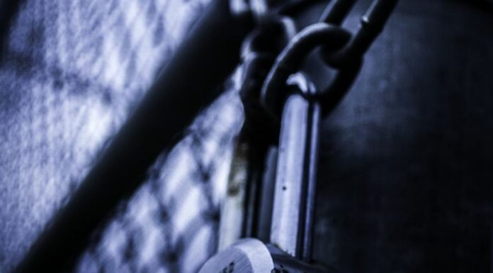 La Fiscalía General de la República (FGR) ordenó la detención de 40 presuntos pandilleros y de delincuentes comunes.