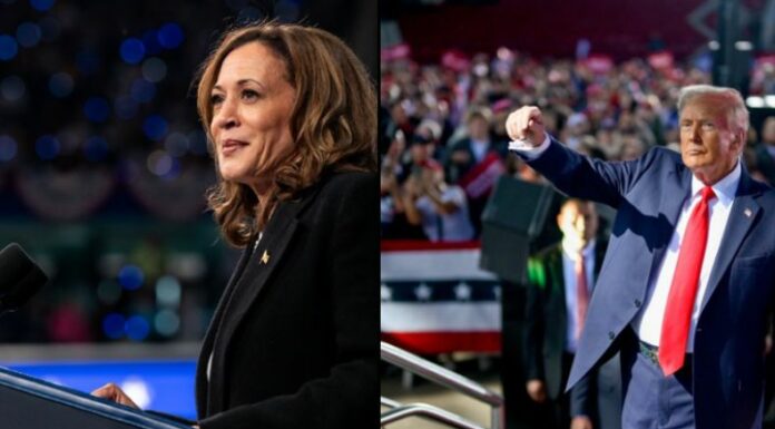 A estas horas de la noche, comenzaron a circular los resultados preliminares de las elecciones de Estados Unidos.