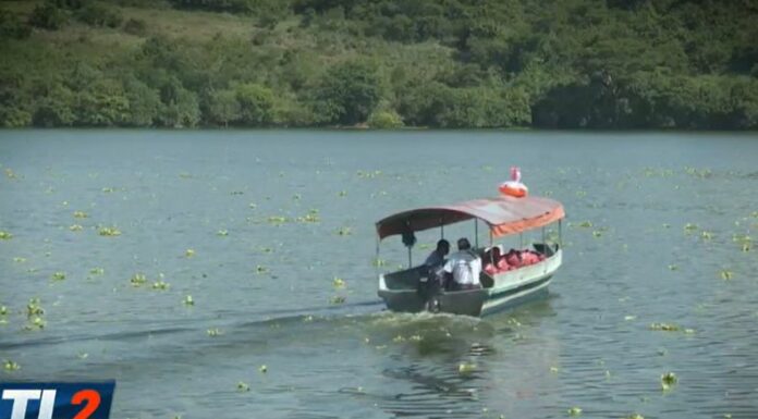 Estudio universitario detectó cianobacterias tóxicas en el embalse Cerrón Grande, que pueden afectar a personas que utilizan de esa agua.