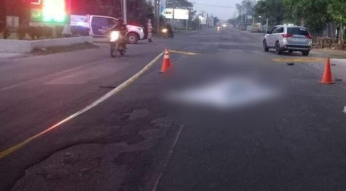 Cruz Verde Salvadoreña informó que una mujer perdió la vida tras ser atropellada sobre el kilómetro 35 de la carretera Troncal del Norte.