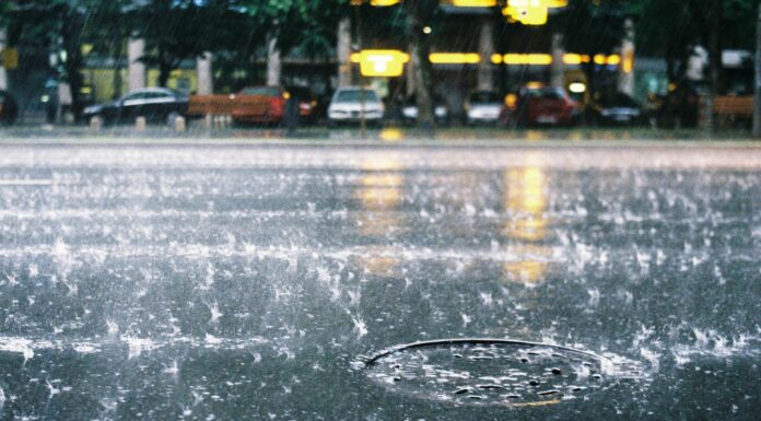 La DANA anterior, que azotó fuertemente el sureste español el pasado 29 de octubre dejó un saldo de 222 fallecidos.