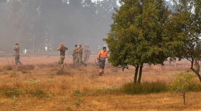 El Servicio Nacional de Prevención y Respuesta ante Desastres (Senapred) declaró alerta roja por incendio forestal en Viña del Mar, Chile.