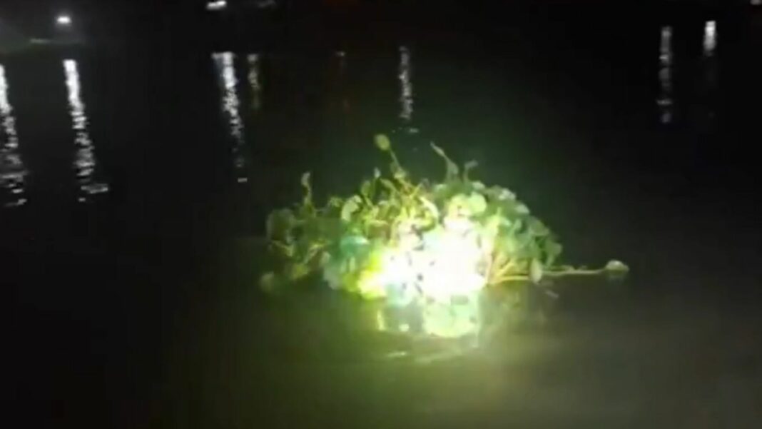 Lo que ocurrió en pleno río Paraná es digno de un guion de película. Un hombre se disfrazó para contrabandear miles de cigarrillos.