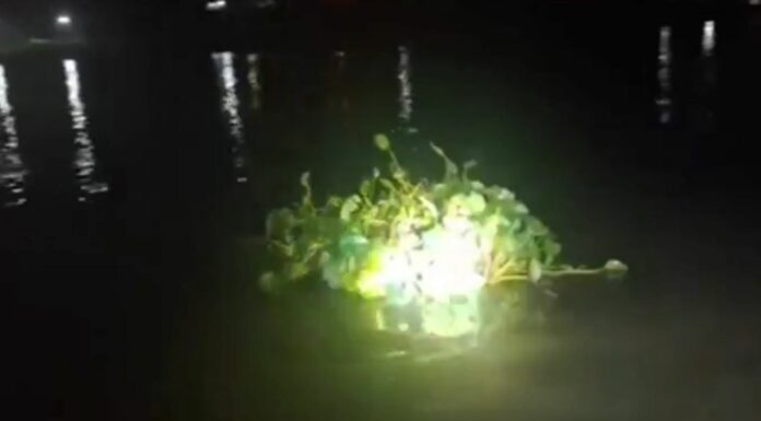 Lo que ocurrió en pleno río Paraná es digno de un guion de película. Un hombre se disfrazó para contrabandear miles de cigarrillos.