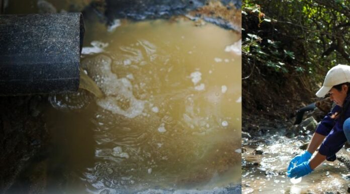 Habitantes del cantón El Panal, en Metapán, denuncian la contaminación de aguas residuales en quebrada Los Hornos.