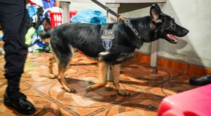 La Fiscalía giró órdenes de captura contra 22 personas acusadas de pertenecer a una estructura dedicada al tráfico de drogas.