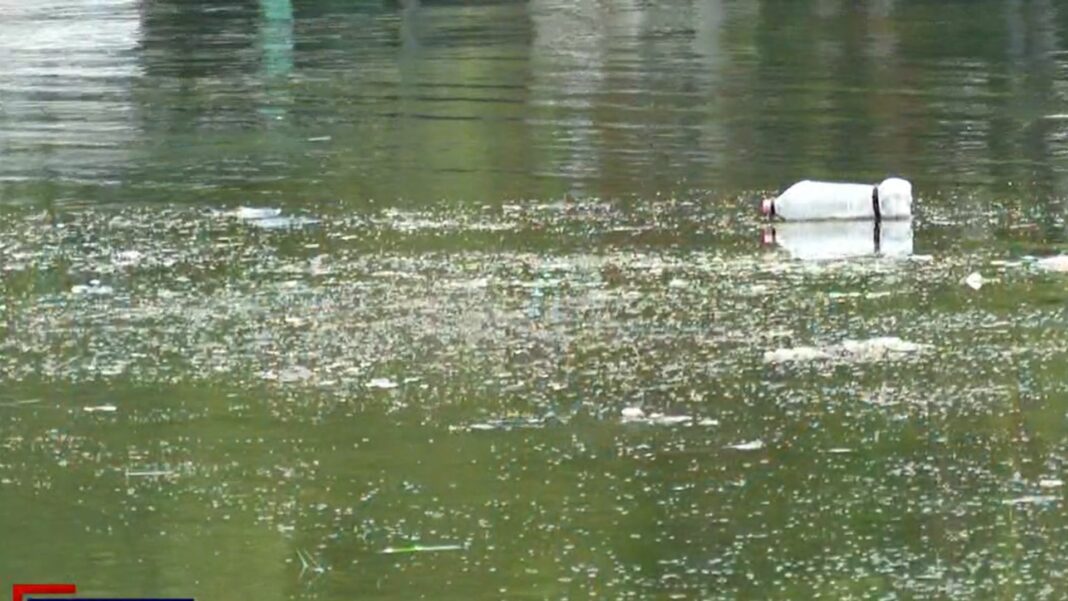Más de 40 voluntarios desarrollaron una mega jornada de limpieza en el lago de Ilopango, en San Salvador Este.