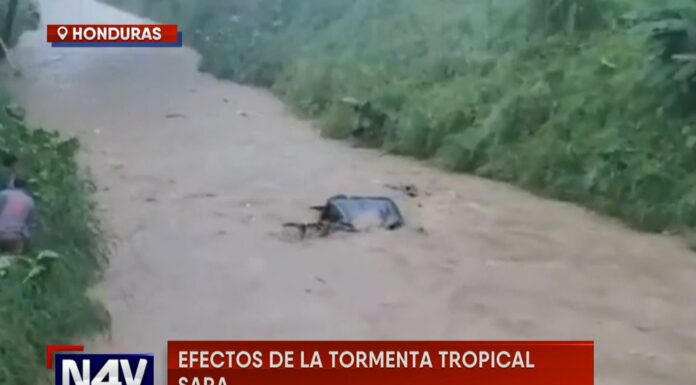 Las intensas lluvias provocadas por la tormenta tropical Sara está dejando un panorama crítico en Honduras.