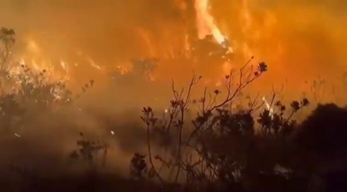 Ecuador estará en emergencia nacional por 60 días ante la difícil situación de incendios forestales que enfrenta este país.
