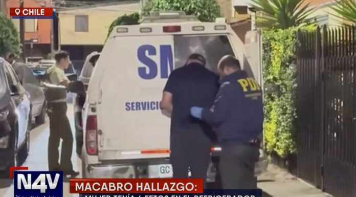 En Chile, las autoridades hicieron un macabro hallazgo, tras encontrar cuatro fetos dentro de un congelador en la casa de una mujer.