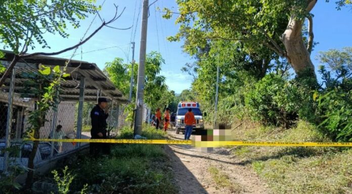 Un hombre perdió la vida tras caer de un árbol. Elementos de Cruz Azul atendieron la emergencia, la persona murió en San Pablo Tacachico.