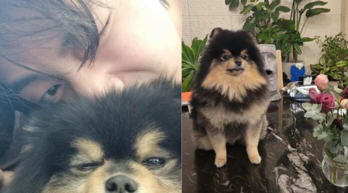 El famoso e integrante de BTS, V sorprendió a sus fans tras dar a conocer la triste noticia sobre su perrito, Yeontan.