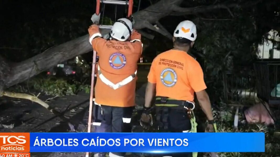 De acuerdo con el reporte del MARN, los vientos nortes continuarán durante este día, con velocidades promedio entre los 40 a 60 km/h.